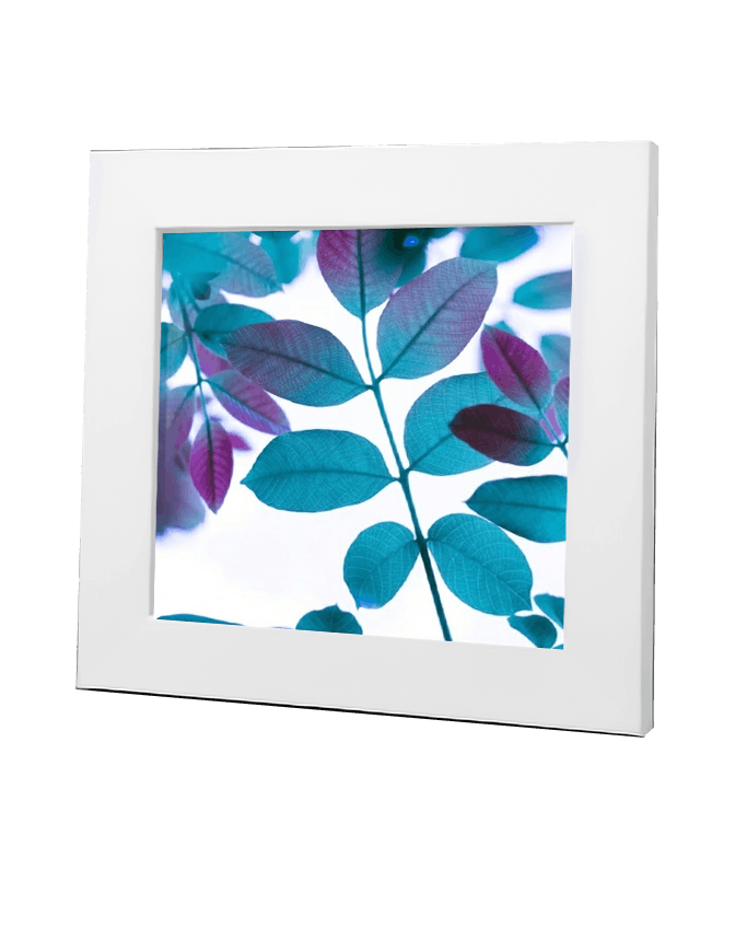 Lumivex Canopy - product